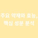 해정탕 네이버블로그