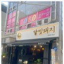 달빛돼지 이미지