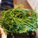 인디안 건너편 이미지