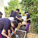 사파중학교 이미지