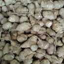 방실농장 이미지