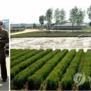 최영림농장 이미지