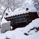 탁씨네민박 이미지