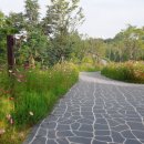 우산공원3 이미지