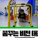 비전 태권도장 이미지