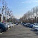 양재시민의 숲(버스정류장 앞) 이미지