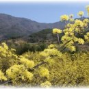 백사한의원 이미지