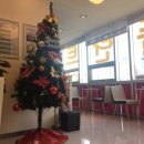 로덴치과의원(경성대,부경대점) 이미지