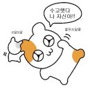 [컴퓨터활용능력] 컴활 1급 실기 노베이스 3주 독학 합격 후기 | 유동균 인강