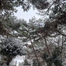 그때 그 펜션 네이버블로그
