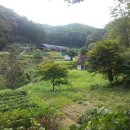 능안농장 이미지