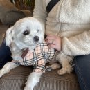 뜨라네민박 이미지