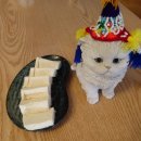 화순농협하나로마트 이미지