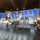 라이언복싱gym 네이버블로그