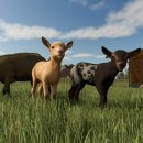 동인천호텔야자 이미지