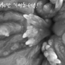 불로초 한의원 이미지