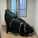 동그라미 | 만족한 내돈내산 포장 이사 후기 울산 동구 동그라미 익스프레스 추천