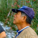 평광농장 이미지