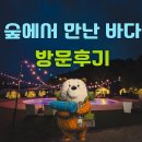 숲에서 | 숲에서 만난 바다 방문후기
