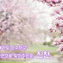 병진 태양광발전소 이미지