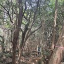 문주조형물(소) | 제주13일차(2026.04.11)