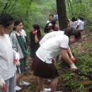 예일여자고등학교 이미지