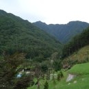 맑은산장농원 이미지