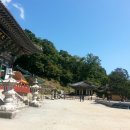 용문산공인중개사사무소 이미지