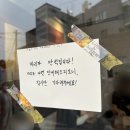 만석봉식당 | [봉산동 카페] 소명커피바 1주년 5월의 커마카세