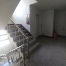 대진중학교 옆 이미지