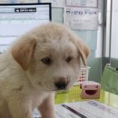 고방동물병원 이미지