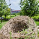 정자세천 이미지