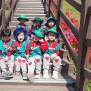 하버드어린이집 이미지