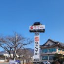 마당발쭈꾸미 이미지