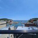 카우만 동물병원 이미지