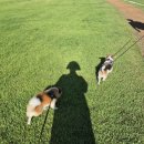 땡구야놀자 | [2인2멈가구] 8월의 끝에서 되새김질 중