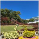 감동행정사사무소 이미지