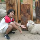 삼포목장 이미지