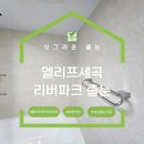 성남줄눈시공 엘리프세곡리버파크 화장실 빅라이언 후기