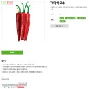 신젠타코리아 | 각종 병해에 끄떡없는 ‘강한 고추’ 봇물