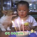 픽닷 - 서초구 반포대로28길 72 | 픽닷