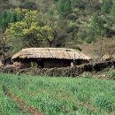 고향의봄길 이미지