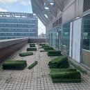 제기동철거 약령시장 건물 14층 전체 철거, 신우철거 실화냐고요?