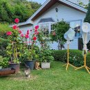 배내별장 이미지