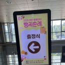 돈이빵빵 | 2026년 천안 빵지순례 빵빵데이 참여 후기