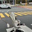 샤인카 | 에이블 코지샤인 유모카 트라이크 내돈내산후기