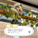 스팀아카데미 | 서울 라떼아트 원데이 클래스 ♪ 코알라커피아카데미 후기 ✰