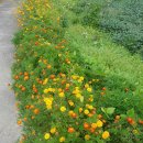 배론농장 이미지