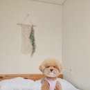 구름멍스테이 이미지