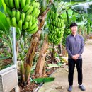 창평초등학교 | 지구를 살리는 ‘친환경 농업’…먹거리 안전성 높이고 환경보존 일군다 - 한국농어민신문 2023.07.14